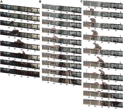 Small-Scale Flume Investigation of the Performance of Step-Baffle Drainage Channels in Mitigating Debris Flows